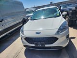 Used 2021 Ford Escape SEL image 2