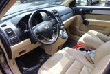 Used 2010 Honda CR-V EX-L image 3