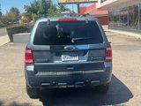 Used 2010 Ford Escape Limited image 5