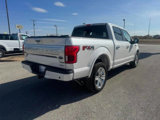 Used 2019 Ford F150 Platinum w/ Equipment Group 701A Luxury image 5