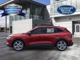 New 2025 Ford Escape ST-Line w/ Tech Pack #1 image 4