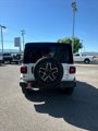 New 2024 Jeep Wrangler Unlimited Sahara w/ Safety Group image 4