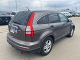 Used 2010 Honda CR-V EX image 4