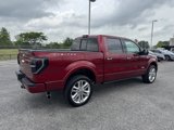Used 2013 Ford F150 Limited image 2