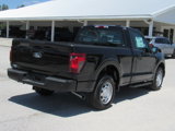 New 2025 Ford F150 XL image 3