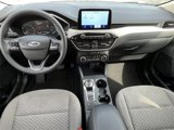 Used 2020 Ford Escape SE image 2