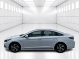 Used 2016 Hyundai Sonata Limited w/ Option Group 02 image 3