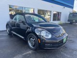 Used 2013 Volkswagen Beetle 2.5 image 3