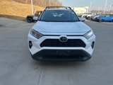 Used 2019 Toyota RAV4 XLE Premium image 3