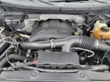 Used 2013 Ford F150 XLT w/ Luxury Equipment Group image 2