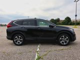 Used 2019 Honda CR-V EX image 6