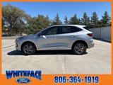 New 2024 Ford Escape ST-Line w/ Tech Pack #1 image 3