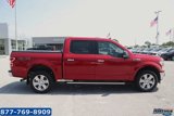 Used 2020 Ford F150 XLT w/ Equipment Group 302A Luxury image 4