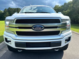 Used 2019 Ford F150 Platinum w/ Equipment Group 701A Luxury image 2