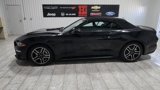 Used 2021 Ford Mustang Premium image 4