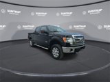 Used 2014 Ford F150 XLT w/ Equipment Group 302A Luxury image 3