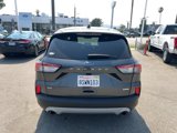Used 2020 Ford Escape SE image 5