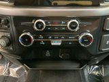 New 2025 Ford F150 XLT w/ Equipment Group 301A Standard image 5