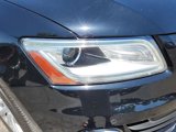 Used 2013 Audi Q5 2.0T Premium Plus w/ Premium Plus Pkg image 6