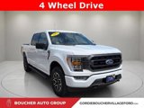 Certified 2022 Ford F150 XLT w/ Equipment Group 302A High image 3
