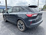 Used 2022 Ford Escape SE w/ SE Sport Appearance Package image 5