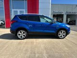 Used 2019 Ford Escape Titanium image 5
