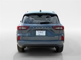 Used 2024 Ford Escape ST-Line image 4