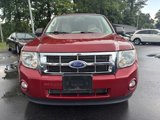 Used 2011 Ford Escape XLT w/ 201A Rapid Spec Order Code image 2