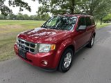 Used 2011 Ford Escape XLT w/ 202A Rapid Spec Order Code image 2