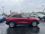Used 2022 Ford Escape SE w/ Convenience Package image 4