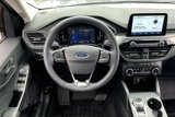 Used 2024 Ford Escape Active w/ Cold Weather Package image 4