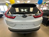 Used 2019 Honda CR-V EX-L image 6