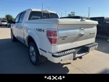 Used 2009 Ford F150 Platinum image 4
