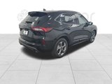 Used 2023 Ford Escape ST-Line w/ Cold Weather Package image 5