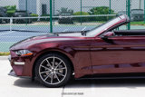 Used 2018 Ford Mustang Premium w/ Wheel & Stripe Package image 4