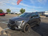 Used 2019 Ford Escape Titanium image 6