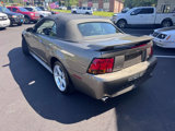 Used 2001 Ford Mustang Cobra image 5