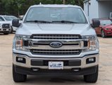 Used 2018 Ford F150 XLT w/ Equipment Group 302A Luxury image 2