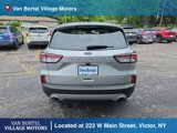 Used 2020 Ford Escape SEL image 6