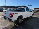 Used 2019 Ford F150 XLT w/ Equipment Group 301A Mid image 4