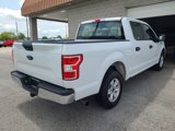 Used 2019 Ford F150 XL w/ Equipment Group 101A Mid image 3
