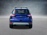 Used 2014 Ford Escape SE w/ Equipment Group 201A image 5