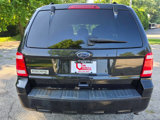 Used 2011 Ford Escape XLT w/ 202A Rapid Spec Order Code image 5