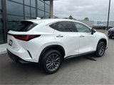 Used 2025 Lexus NX 350h AWD w/ Premium Package image 6