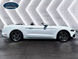 Used 2019 Ford Mustang Premium image 4