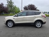 Used 2018 Ford Escape SEL image 4