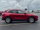 Used 2021 Ford Escape SE w/ Convenience Package image 2