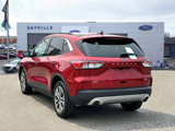 Used 2021 Ford Escape SEL image 4