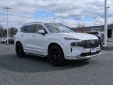 Used 2023 Hyundai Santa Fe Calligraphy w/ Cargo Package image 2