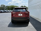 Used 2024 Toyota RAV4 XLE Premium image 6